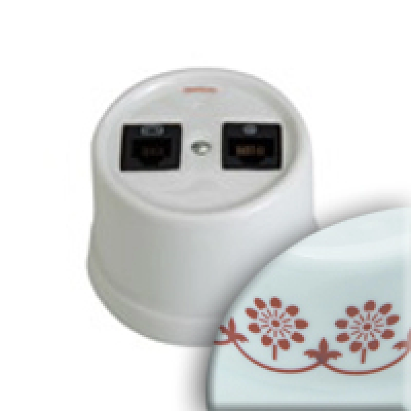 Двухместная розетка RJ45 Fontini (коричневый декоративный рисунок) Двухместная розетка RJ45 Fontini (коричневый декоративный рисунок)