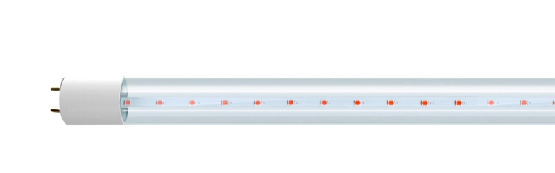 Jazzway PLED T8 900gro 12w CL G13 (  )