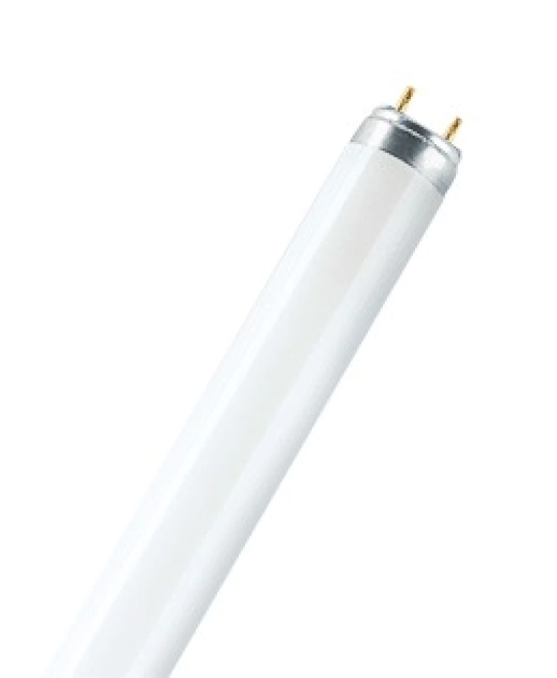 Osram L 58W/865 25X1