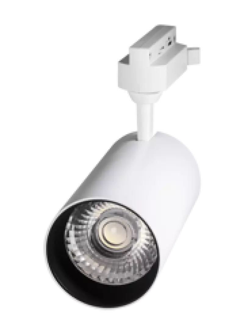Jazzway  PTR 1725 25w 4000K 24 WH () IP40