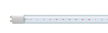 Jazzway PLED T8 900gro 12w CL G13 (  )