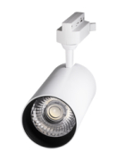 Jazzway  PTR 1725 25w 4000K 24 WH () IP40