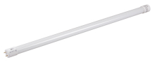 Jazzway  LED T8 10W 6500K    600x26mm 800lm
